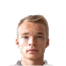 Foto de I. Niskanen
