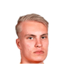 Foto de T. Marttinen