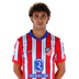 Foto de João Félix
