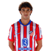 Joao Félix