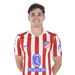Julián A.