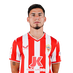 Robertone