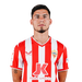 Robertone
