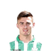 Foto de A. Markovych