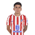 T. Almada