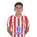jugador