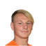 Foto de V. Vakula