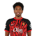 jugador