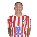Nahuel