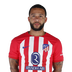 Foto de Memphis Depay