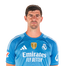 Foto de T. Courtois