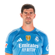Foto de T. Courtois