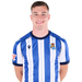Luka Sucic