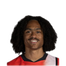 Foto de Jugador